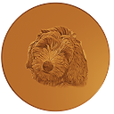 Lucky Penny Ventures